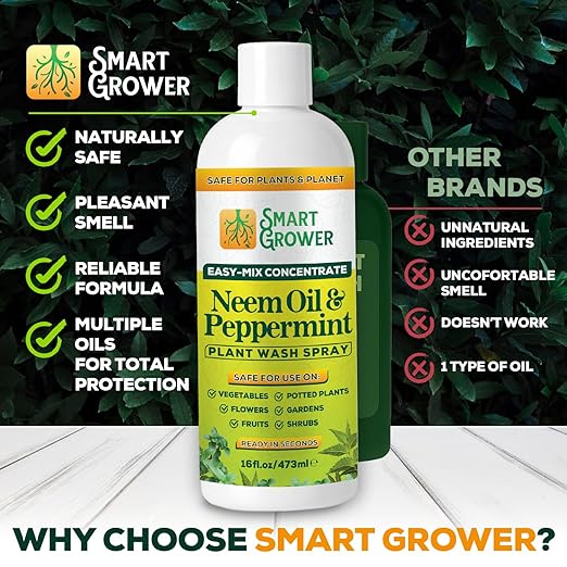 Neem Oil Spray for Plants with Peppermint Oil – for Indoor &amp Outdoor Plants Gardens &amp Houseplants– Best Value Refill 16 oz Concentrate Makes 2 Gallon RTU