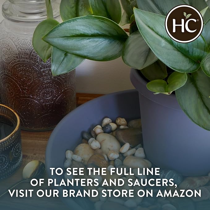 The HC Companies Classic Round Plastic Plant Pot w/Rolled Rim - Lightweight &amp UV Resistant Flower Pot for Herbs &amp More - Outdoor &amp Indoor Plant Pots w/Drainage (14 inch Black Pack of 1)