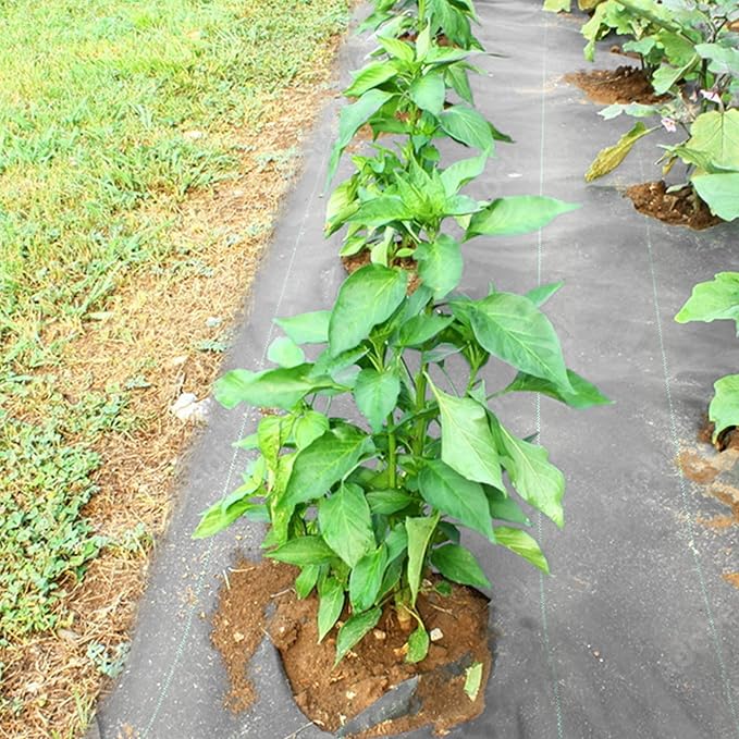 6.5ft x 300ft Weed Barrier Landscape Fabric Heavy Duty Weed Blocker Garden Weeding Control Mat for Greenhouses Lawn Garden Flowers Crops Potted Plants 100gsm