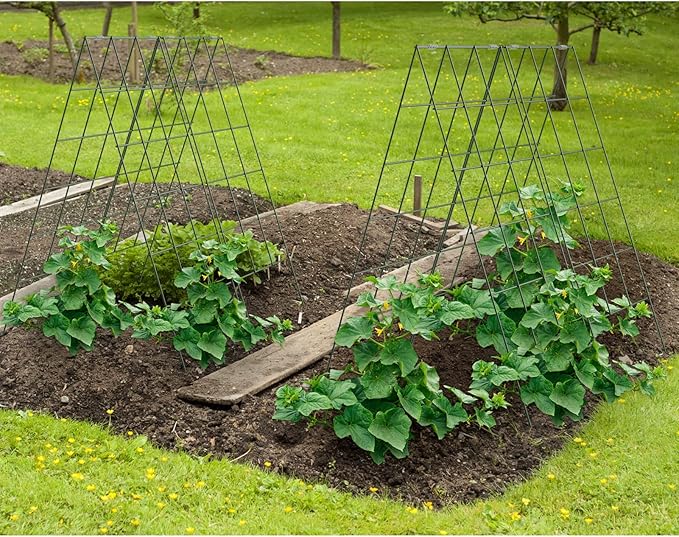 AGTEK 2 Packs 18 x 46 Foldable Cucumber Trellis with Zip Ties Plant Support A Frame Metal Trellis for Cucumber Climbing Plants Vegetable Flowers