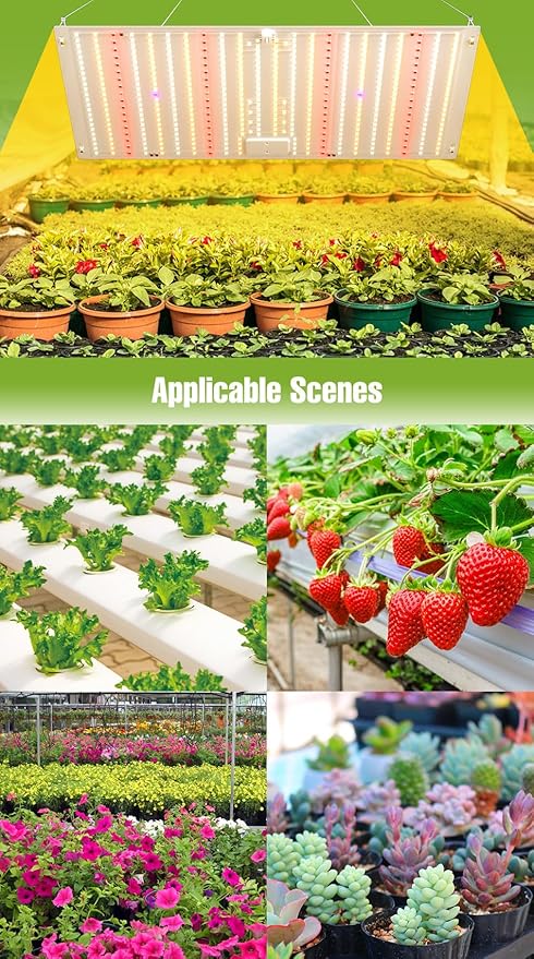 250W LED Full Spectrum Grow Lamps 100-277V Greenhouse Tent Hydroponic Planting Fill Light UV/IR Indoor Sunlight Seedings Cultivation Lights 110V Sunlike Sapling Vege Fruit Flower Moss Succulent