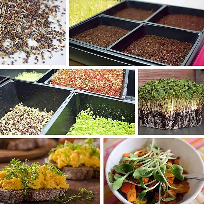 10 Pack of Durable Black Plastic Growing Trays (Without Drain Holes) 21 x 11 Perfect Garden Seed Starter Grow Trays: for Seedlings Indoor Gardening Growing Microgreens Soil or Hydroponic.