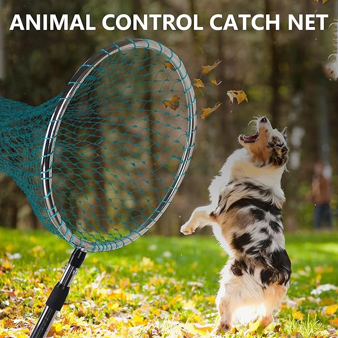 Dog Catch Net Animal Control Net Poultry Catching Trap Tool Length Adjustable for Cat Pigeon and Others (42~70 Handle with 24.4 Net Opening) (Stainless Steel Natural - Large)