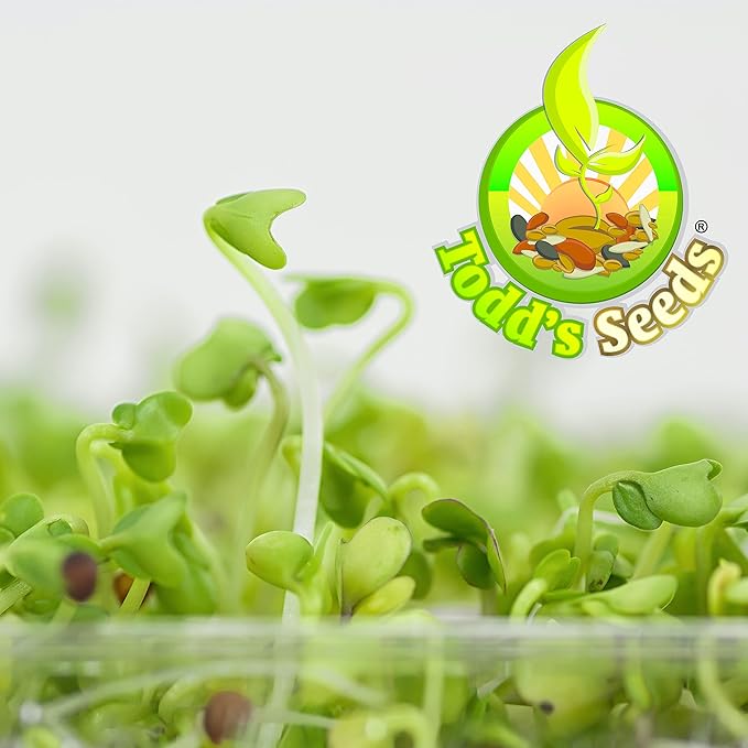 Todd’s Seeds - Sprouting Broccoli Seeds - Calabrese Variety Non-GMO Heirloom - 2.5 Pound - Bulk Seeds
