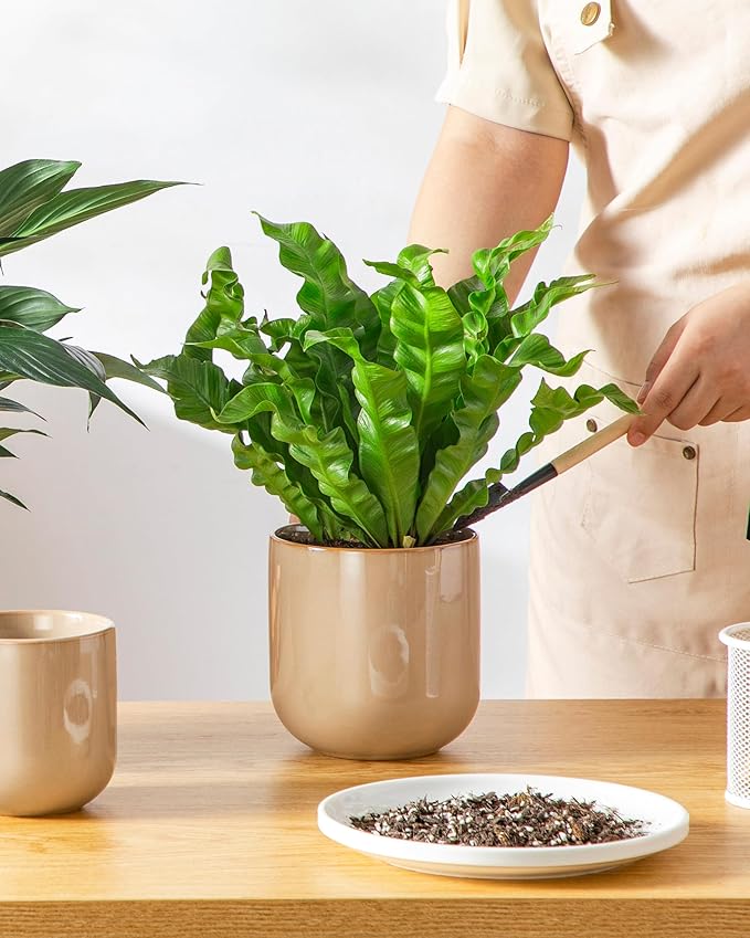 vancasso Ceramic Plant Pots 4+5+6 inches Set of 3 Planters with Drainage Hole Flower Pots Planters Pots for Indoor Plants Modern Indoor Decorative Garden Pot Home Decor Brown