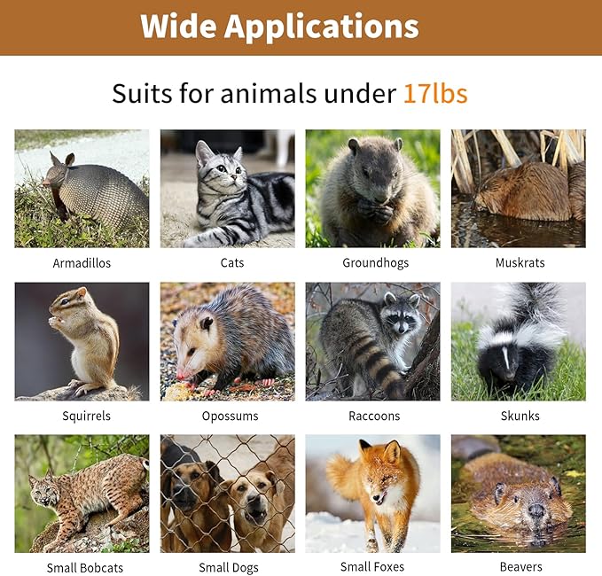 32 Humane Animal Cage Trap Live Animal Cage Trap Folding Animal Trap for Stray Cats Raccoons Rabbits Skunks Moles Groundhogs and Armadillos up to 17 lbs