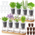 8 Pcs Hydroponic Herb Planter Growing Kit Self Watering Glass Vase with Wooden Stand Herb Garden Starter Kit for Propagating Hydroponic Plants Centerpiece Office Home Garden Decor
