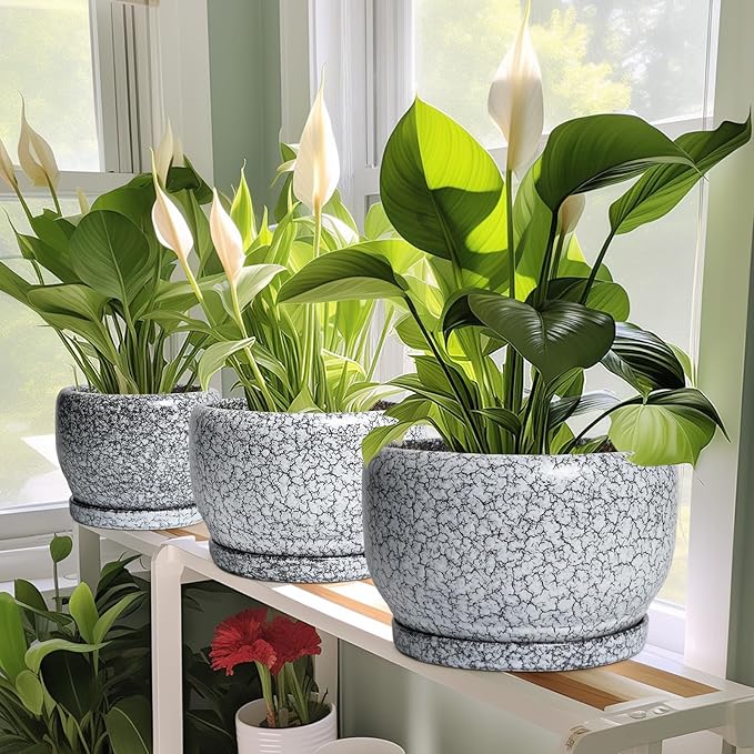 SQOWL Ceramic Planters - 10 Inch Ceramic Flower Pot with Drainage Hole and Saucer Decorative Plant Pot Indoor Round Large Planter Outdoor Bathroom Decor Gifts for Plant Lovers Black and White