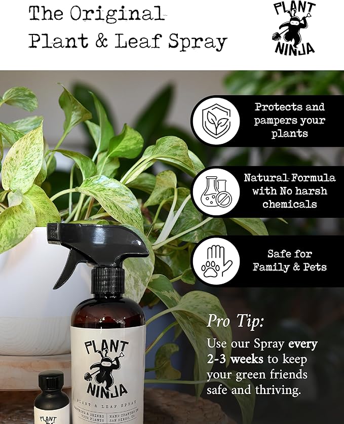 Premium Starter Bundle Includes a 8” Pot 16oz Spray Bottle 1oz Concentrate Soil Blend &amp Funnel Plant and Leaf Shine Spray for Indoor Plants House Plants w/Potting Soil - Large