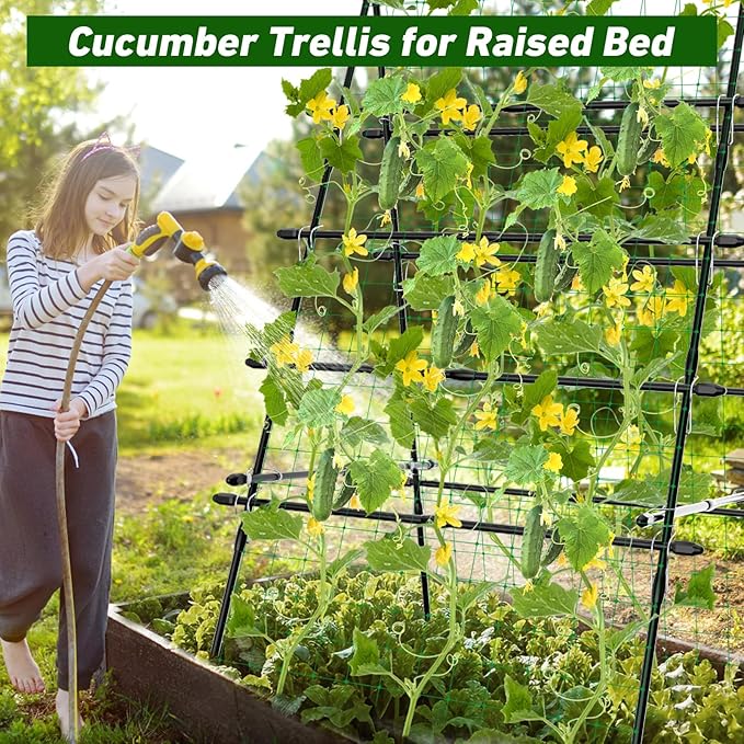6ft Cucumber Trellis for Raised Bed Garden Trellis for Climbing Plants Outdoor A Frame Metal Trellis Support with Net for Vegetables Tomato Zucchini Squash Beans Peas Melons Rose FlowersVines