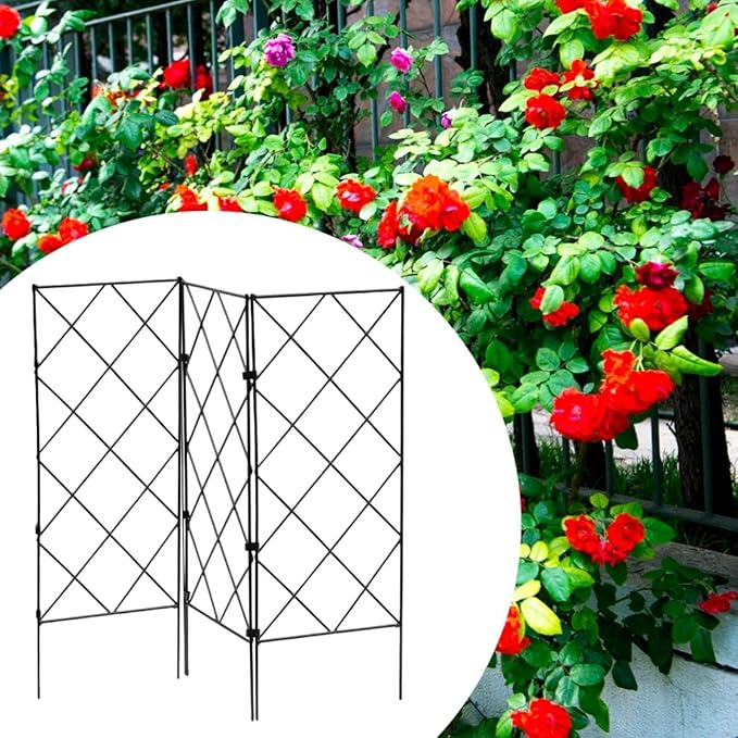Climbing Plants Garden Trellis Flower Stand Versatile Metal Plant Holder Vine Support Rack for Outdoor Indoor Clematis Rose 3pcs