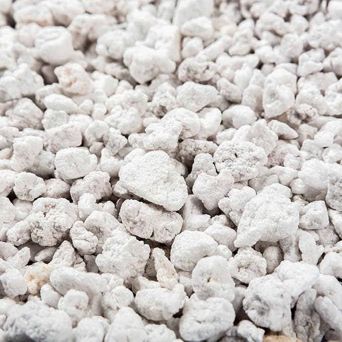 Perlite Bliss (24 Qts) + Vermiculite Bliss (24 Qts) - Perlite for Plants &amp Fine Vermiculite for Gardening - Bulk Soil Amendment Bundle - Organic Potting Soil Mix Improves Nutrient &amp Water Rete