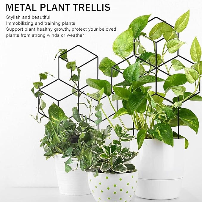 Small Metal Trellis Metal Garden Trellis Indoor Plant Trellis for Climbing Plants Rustproof Pot Trellis Iron Garden Trellis Plant Trellis Support for Houseplant Flower Vines
