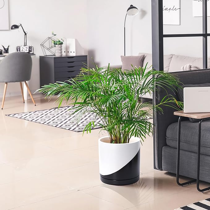 D'vine Dev 12 Inch Ceramic Planter Pot with Drainage Hole and Saucer Indoor Cylinder Round Planter Pot Oblique Monochrome Black and White 94-O-F-K