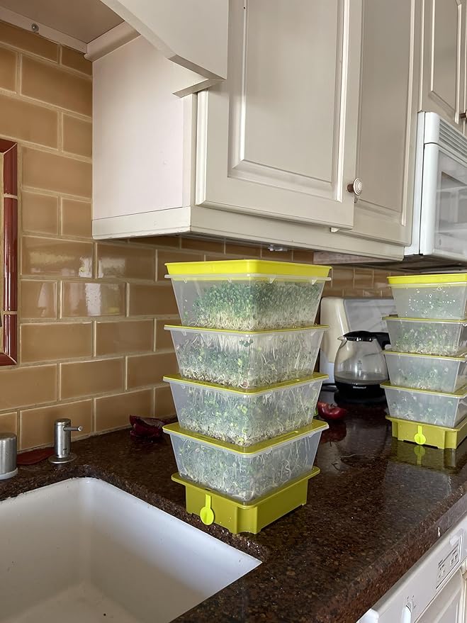 2026 Upgraded 4-Tier Stackable Seed Sprouter with Air Holes &amp Easy Sink-Draining Spout Tray – Soil-Free Sprouting System for Broccoli Alfalfa &amp Bean Sprouts.