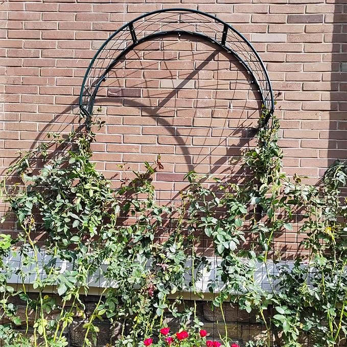 Metal Garden Arch Trellis Wall Mounted Rose Arch Garden Trellis for Windows Doors Entrances for Climbing Plants Garden ArchwayWindow Shade Frame(Green)