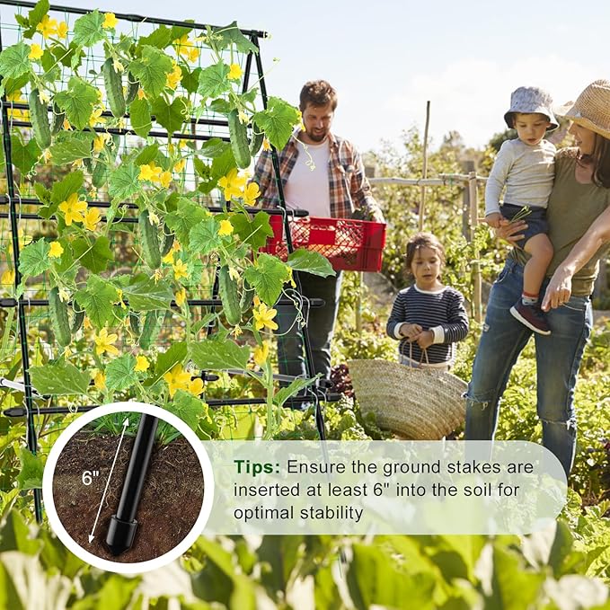 6ft Cucumber Trellis for Raised Bed Garden Trellis for Climbing Plants Outdoor A Frame Metal Trellis Support with Net for Vegetables Tomato Zucchini Squash Beans Peas Melons Rose FlowersVines