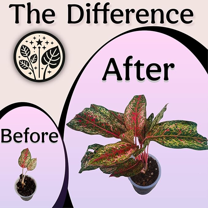 Craft Organic Houseplant Potting Mix Elite House Plant Soil Chunky Well Draining Potting Soil for All Indoor Plants Tropical Plants &amp Flowers Sustainable &amp Peat Free Less Prone to Gnats