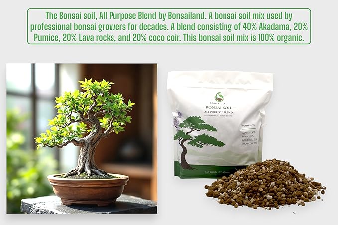 Bonsai Soil Mix with Akadama Pumice Lava Rocks and Organic Coco Coir for Tree Growth and Maintenance