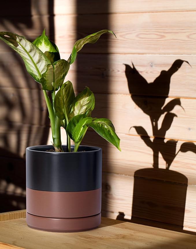 D'vine Dev 6.5 Inch Ceramic Planter Pot with Drainage Hole and Saucer Indoor Cylinder Round Planter Pot Black/Speckled Tan 94-O-C-7