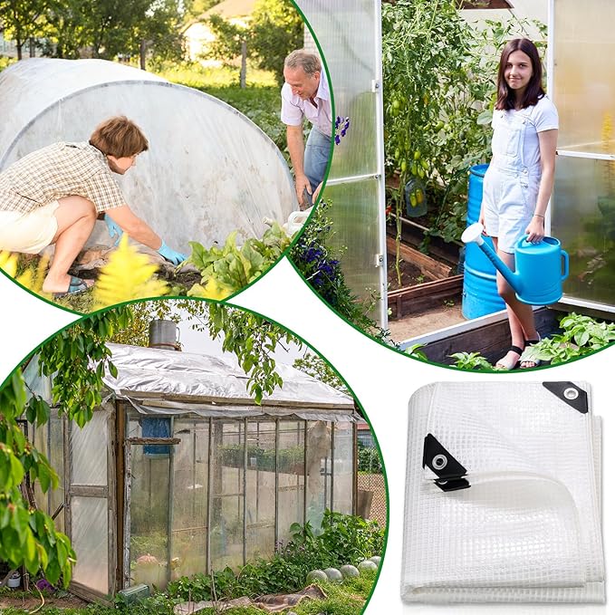 Berlune 3 Pack Clear Greenhouse Heavy Duty Tarp 8 x 10 ft Clear Waterproof Cover 14 Mil Plastic Mesh Cover UV Resistant Poly Tarp with Grommets for Gardening Farming Nursery Outdoor Event