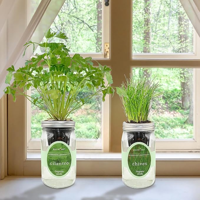 2-Pack Hydroponic Mason Jar Herb Garden Kit Indoor Herb Garden Self-Watering Starter Kit New Christmas Gift for Mom (CilantroChives)