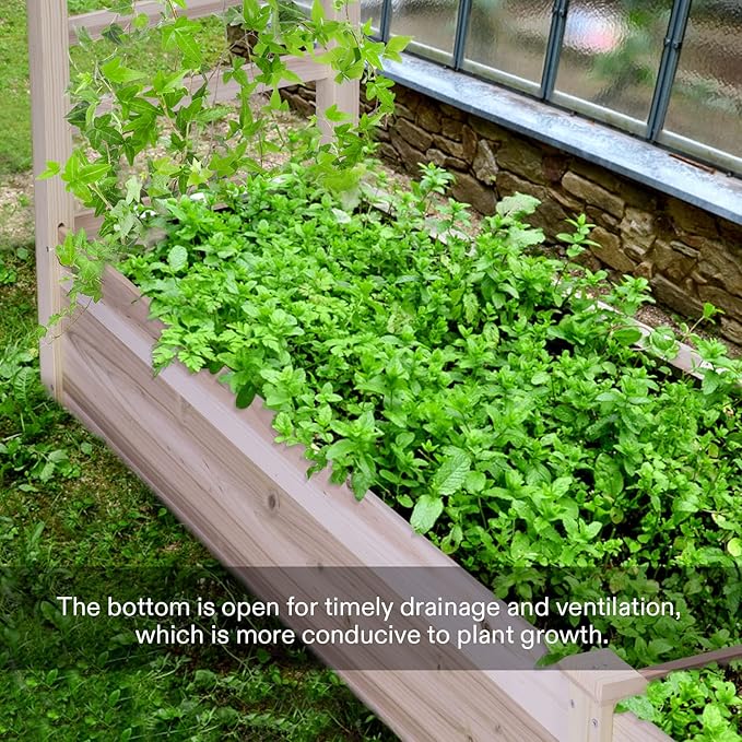 VIVOSUN Wooden Raised Garden Bed 48 x 24 x 30 Inches Outdoor Wood Planter Box with Gloves and a Liner with Trellis for Vine Climbing for Garden Patio Balcony Backyard and Outdoors (Pack of 2)