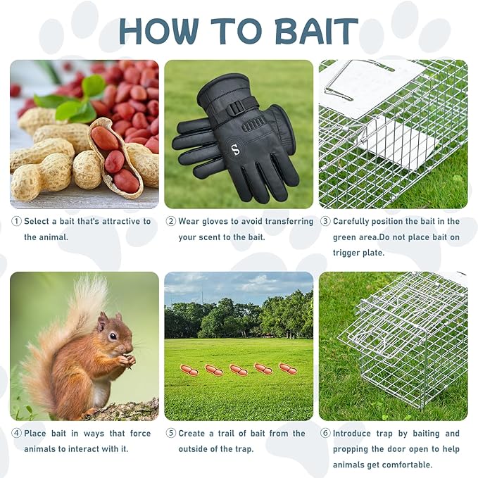 Animal Trap 26x10x9 Cage TrapHeavy Duty Folding Raccoon Traps Live Animal Cage TrapHumane Catch and Release Stray CatsSquirrelsRabbits