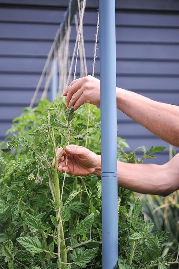 Seattle Urban Farm Company - Freyr Trellis - Vegetable Garden Trellis for Tomatoes Cucumbers Beans Peas and More