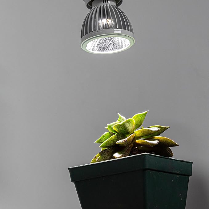 Clip Mount 5.9Ft Plug in Timing Cord Plant Light Full Spectrum White Light White Base White Metal Cone Shade Adjusted Angle Simple Clamp Light for Indoor Plants