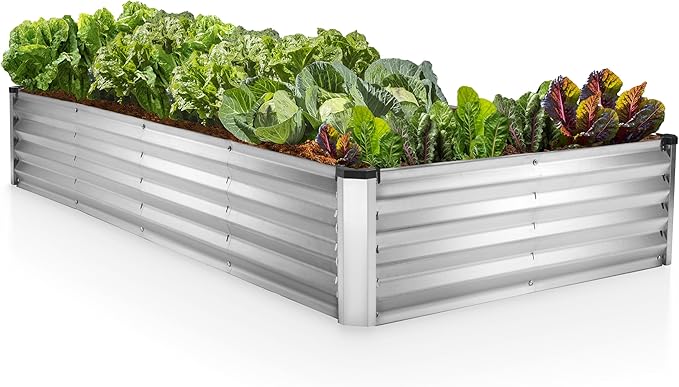 Plant &amp Plot Galvanized Raised Garden Beds Outdoor // 8×4×1 ft Planter Raised Beds for Gardening Vegetables Flowers (Silver) // Large Metal Garden Box // Patented Tool-Free Design