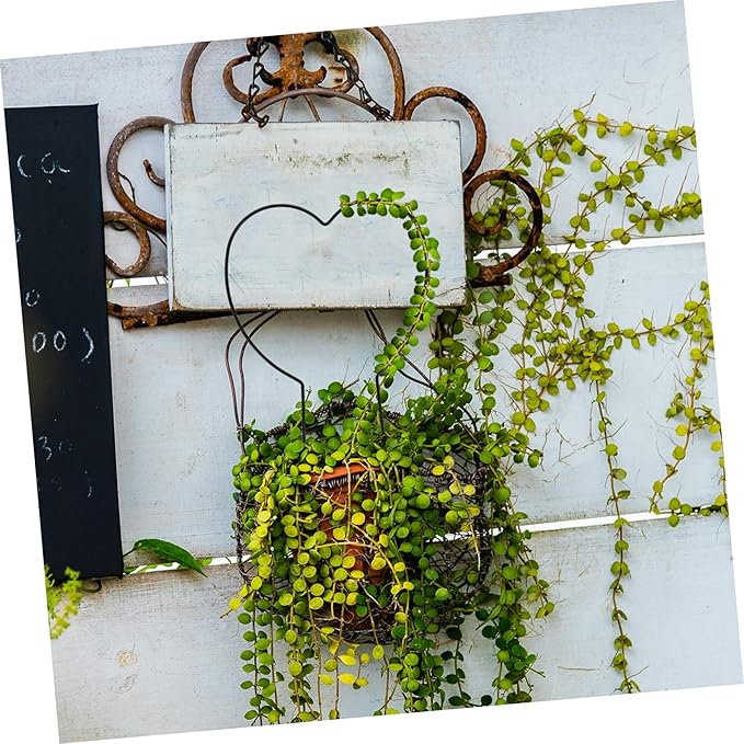 VICASKY 4pcs Indoor Plant Trellis Heart Plant Stake Iron Garden Trellis for Climbing Vines Flowers