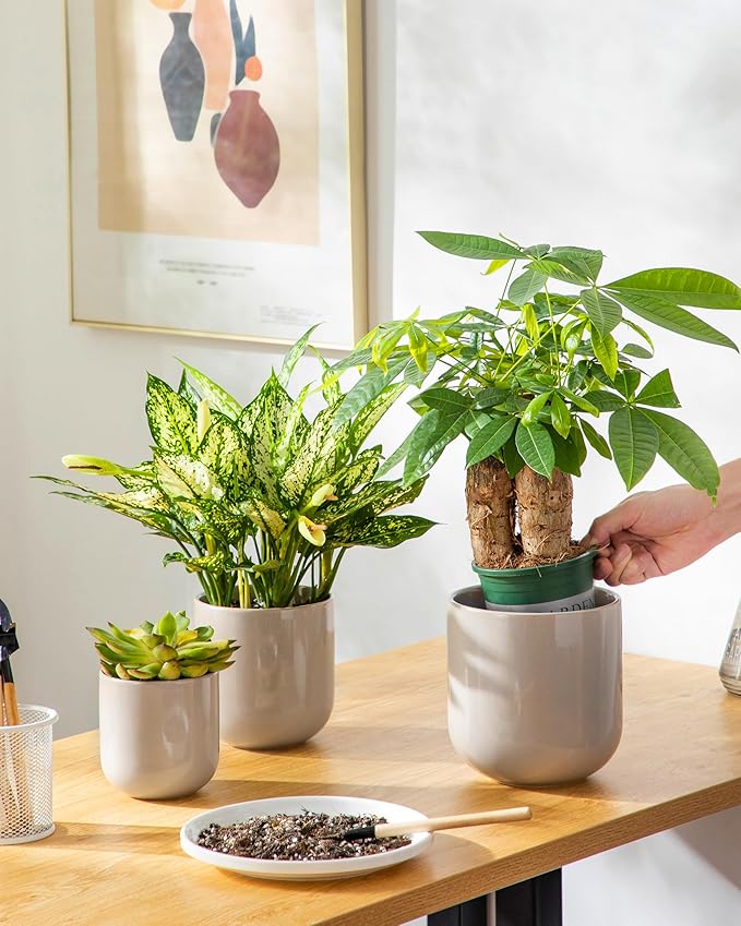 vancasso Ceramic Plant Pots 4+5+6 inches Set of 3 Planters with Drainage Hole Flower Pots Planters Pots for Indoor Plants Modern Indoor Decorative Garden Pot Home Decor Gray