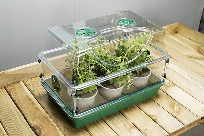 EarlyGrow Medium Seed and Herb Domed Propagator with Vented Side Height Extension and Security Clip SetGreen