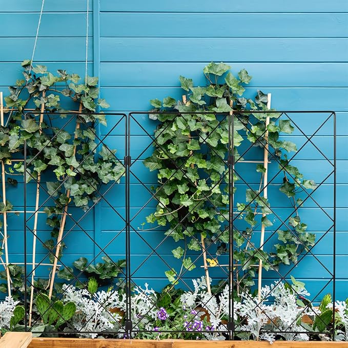 TIDTALEO 5pcs Black Folding Garden Trellis Plant Support Stands 20x53cm Climbing Vine Indoor Outdoor Plant Support for Vegetable and Raspberry Gardening