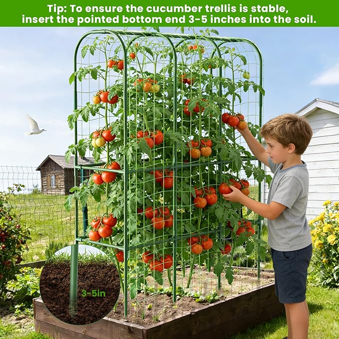 2 Pack 62in Tall Cucumber Trellis for Raised Bed 51 L x 62 H Metal Garden Trellis for Climbing Plants Outdoor U-Shape Vegetables Trellis Support for Squash Zucchini
