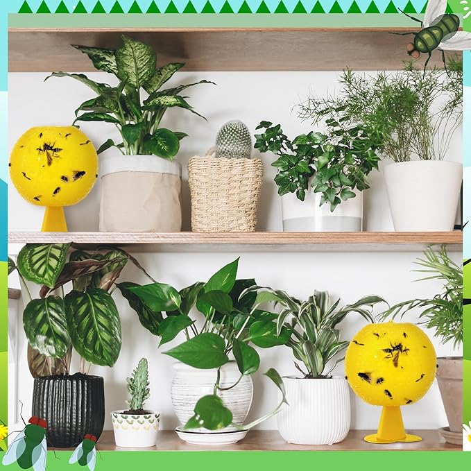 Qualirey 10 Set Fruit Fly Sticky Trap Balls Fungus Gnat Killer Bug Catcher Gnat Trap Insect Traps Indoor Outdoor Plant Fly Sticky Traps Ball for Fungus Plants(Yellow)