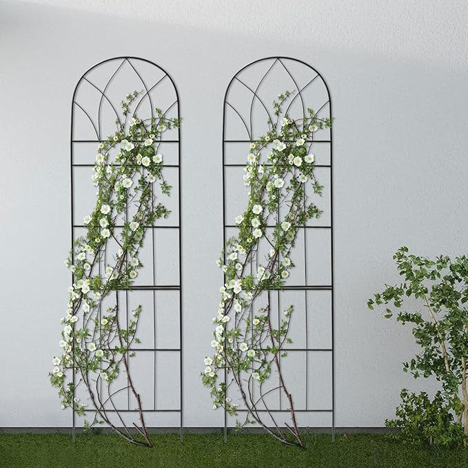 Generic Metal Garden Trellis for Climbing Plants 2 Pack BlackEasy Assembly