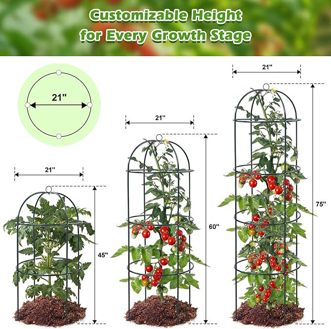 Trellis for Climbing Plants Outdoor 75 Tall Heavy Duty Metal Obelisk Garden Trellis Climbing Plant Support for Heavy Tomatos Cucumber Potted Vine Flower Rose Clematis Vegetable Pea Bean Trellises