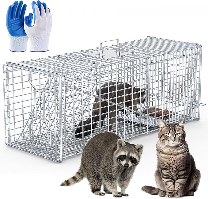 Humane Live Animal Trap 37x14x15inch Large Folding Animal Traps Cage for Raccoons Stray Dogs Armadillos Foxes Coyotes Bobcat Easy to Set &amp Release Live Trap