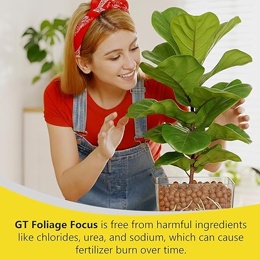 Growth Technology GT Foliage Focus - Liquid Indoor Plant Food for Houseplants Tropical Plants Aroids Ferns and Palms – Concentrated Formula for Vibrant Leaves and Dense Foliage – 1 Quart (946 mL)