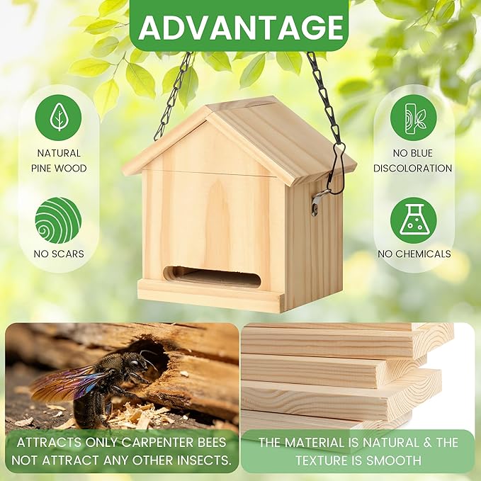 Carpenter Bee Trap for Outside - Wasp Traps Outdoor Hanging with Sticky Traps - Carpenter for Wasps Mud Daubers (1 Bee Trap+4 Refills)