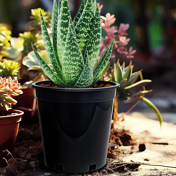1.5 Gallon Plastic Nursery Pots 7.5 Inch Round Plant Pots with Drainage Holes 15 Pack Flower Pots for Outdoor Indoor Plants Flowers Gardening Gifts for Women Black