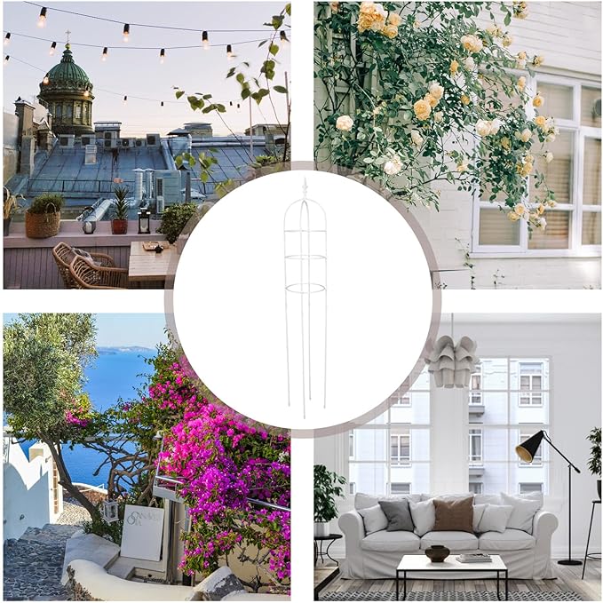 Metal Garden Trellis Climbing Plant Support Frame 31cm Diameter X 1.6m Height Outdoor Climbing Plant Frame for Balcony Roses Clematis