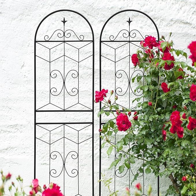 2 Pack Metal GTr71 x 19.7 Rustproof for Climbing Plants Outdoor Flower Support Black WH347