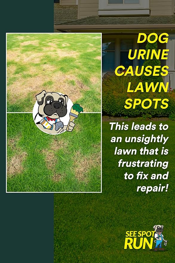 See Spot Run Lawn Protection Concentrate – 32 fl oz – Covers 5000 Sq Ft – Hose-End Attachment – Grass &amp Lawn Saver &amp Supports Healthy Soil – Safe for Pets