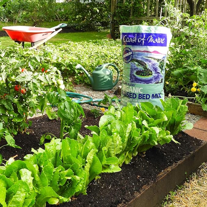 Coast of Maine Organic &amp Natural Castine Blend Soil - Nutrient-Rich Garden Soil w/Mycorrhizae Biochar - Enhanced Drainage &amp Aeration - for Raised Bed Gardening &amp Container Gardening (1 cu