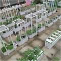 Hydroponics Growing System Smart Hydroponics Growing System with Controller Auto Remind Self-Watering Planter 60 Climbing Trellis for Cucumber Tomato Hydroponic Tower (2 White)