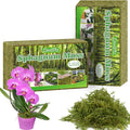 ZeeDix 2-Pack Premium Sphagnum Moss - 2.2 lb Orchid Moss Plant Growing Medium for Terrariums Orchids Carnivorous Succulents &amp Reptile Habitat Substrate