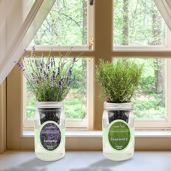 2-Pack Hydroponic Mason Jar Herb Garden Kit Indoor Herb Garden Self-Watering Starter Kit New Christmas Gift for Mom (DillLavender)
